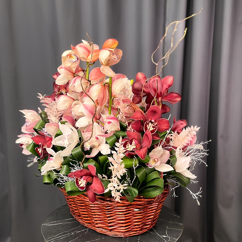 Орхидеи Цимбидиум в роскошной интерьерной корзине