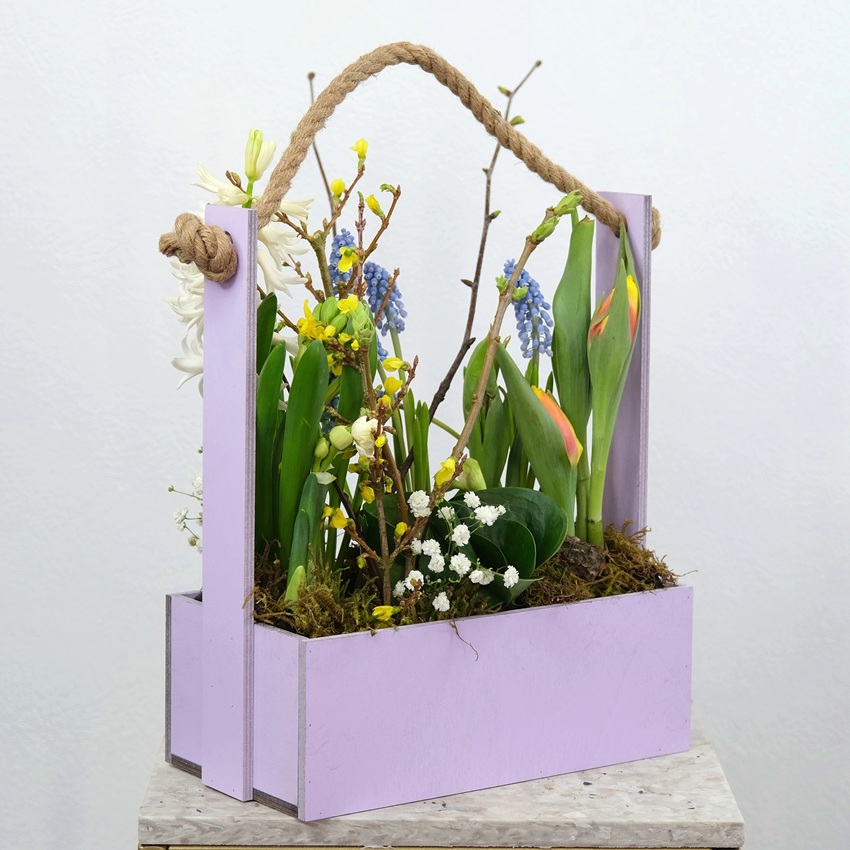 Садик с первоцветами в ящике: мускари, гиацинты и тюльпаны