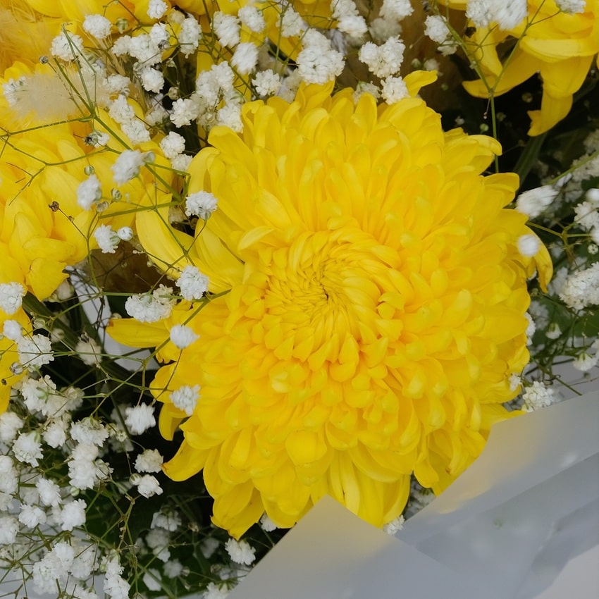 Жёлтые хризантемы и кортадерия в букете "Осенний привет"