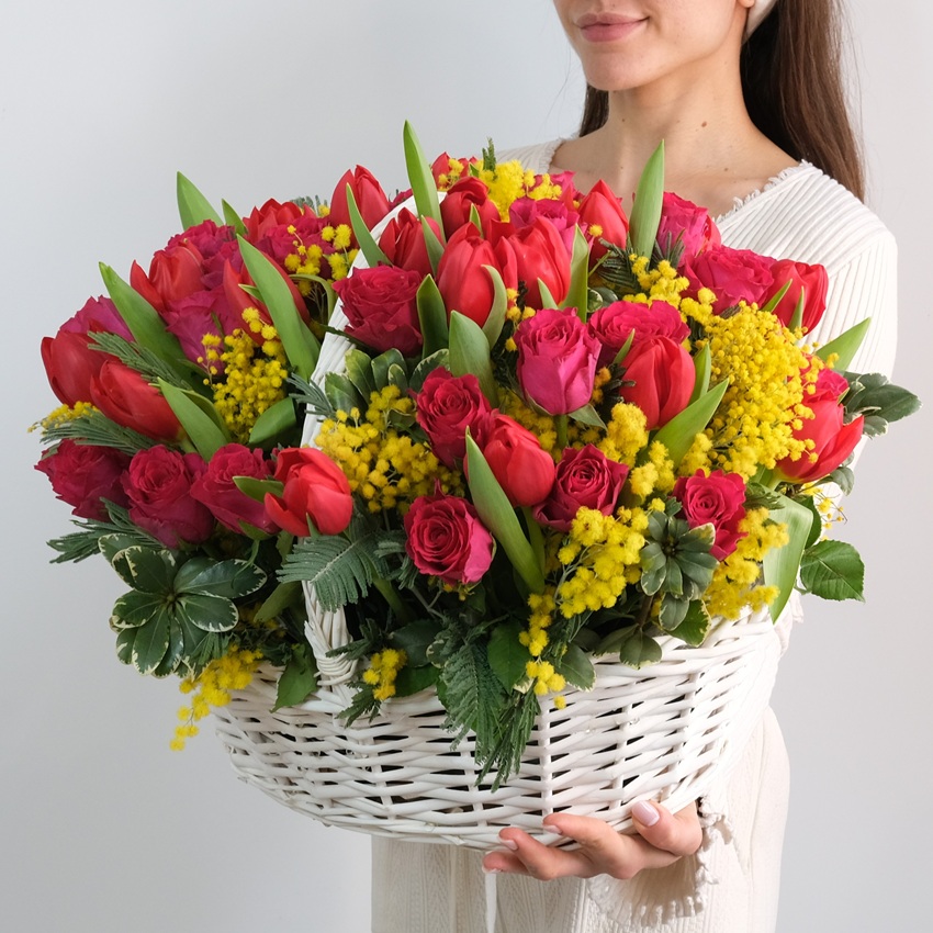 Розы и красные тюльпаны в корзине с итальянской мимозой "Солнечный восторг"