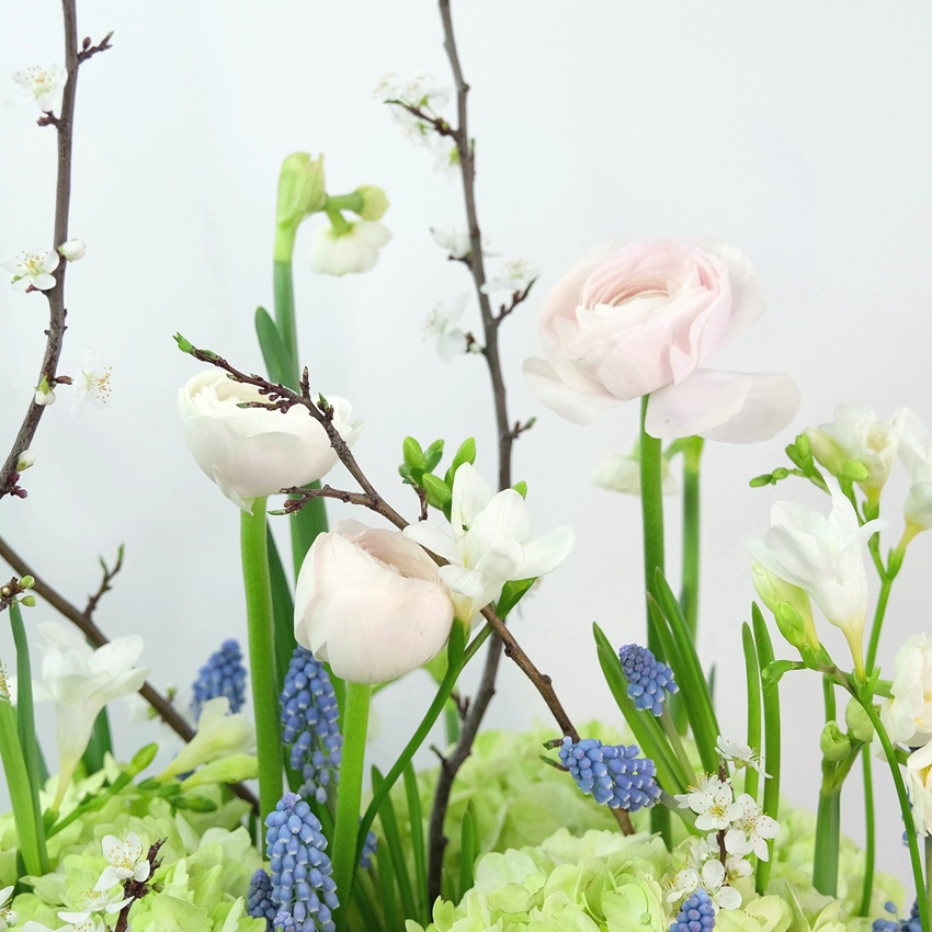 Гортензия, ранункулюсы и мускари в композиции "Цветущий сад"
