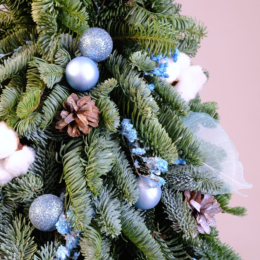 Ёлка новогодняя из датской пихты, 60 см "Frost Kiss"