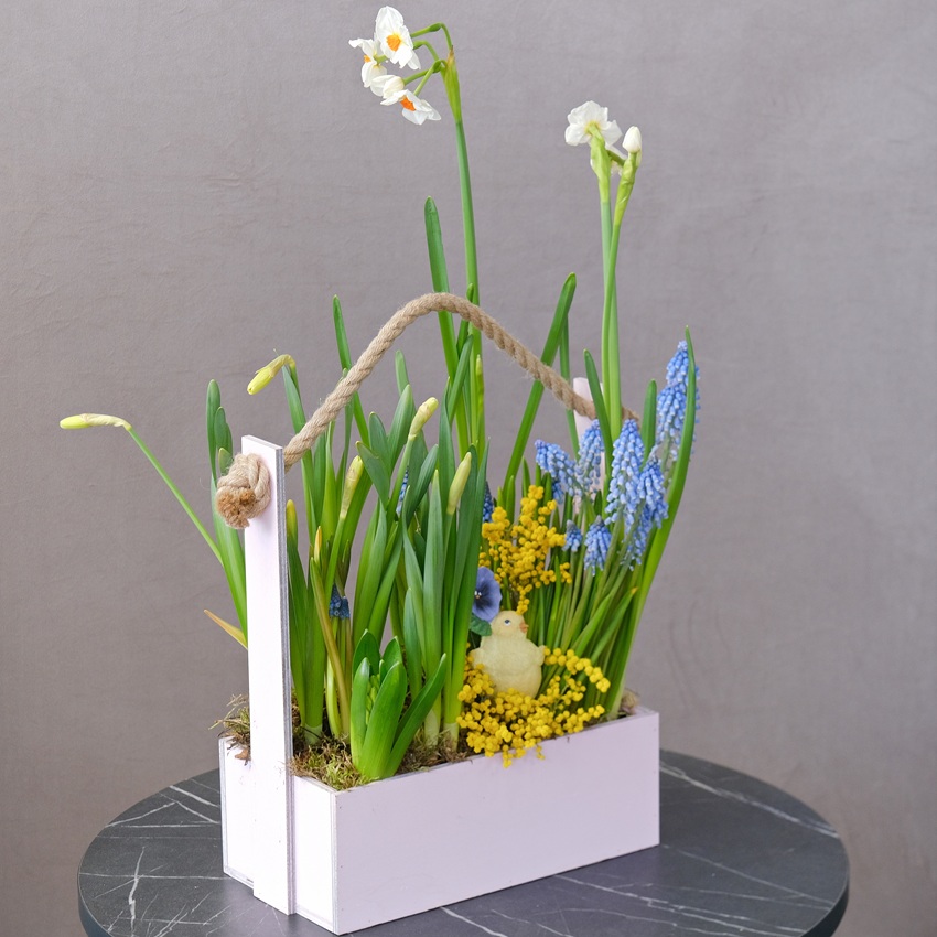 Цветущий садик в ящике: мускари, гиацинты и нарциссы с сувениром "Цыпочка"