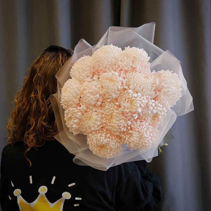 Нежные пудровые розовые хризантемы, 15 штучек