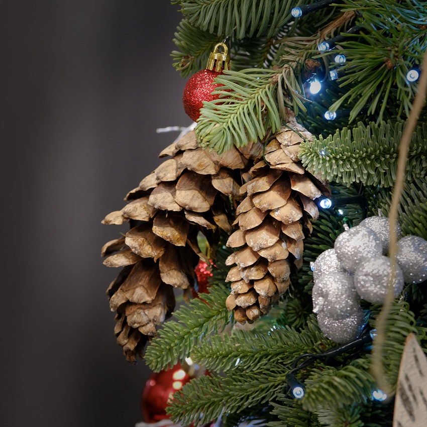 Ёлка из нобилиса и сосны в деревянном ящичке с декором, 120 см