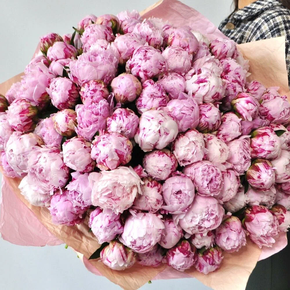 101 пион Сара Бернар