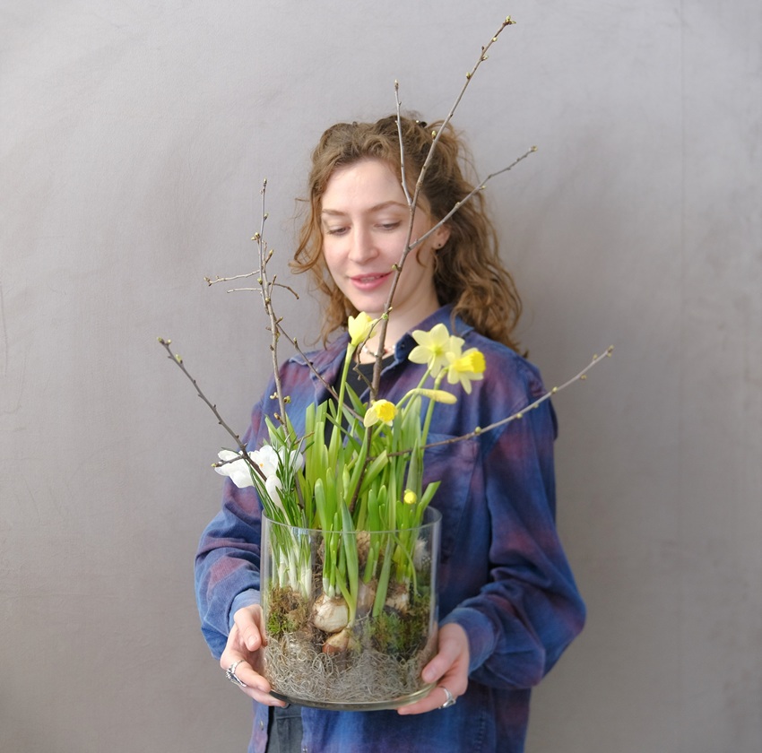 Луковичные крокусы и нарциссы в стеклянной вазе