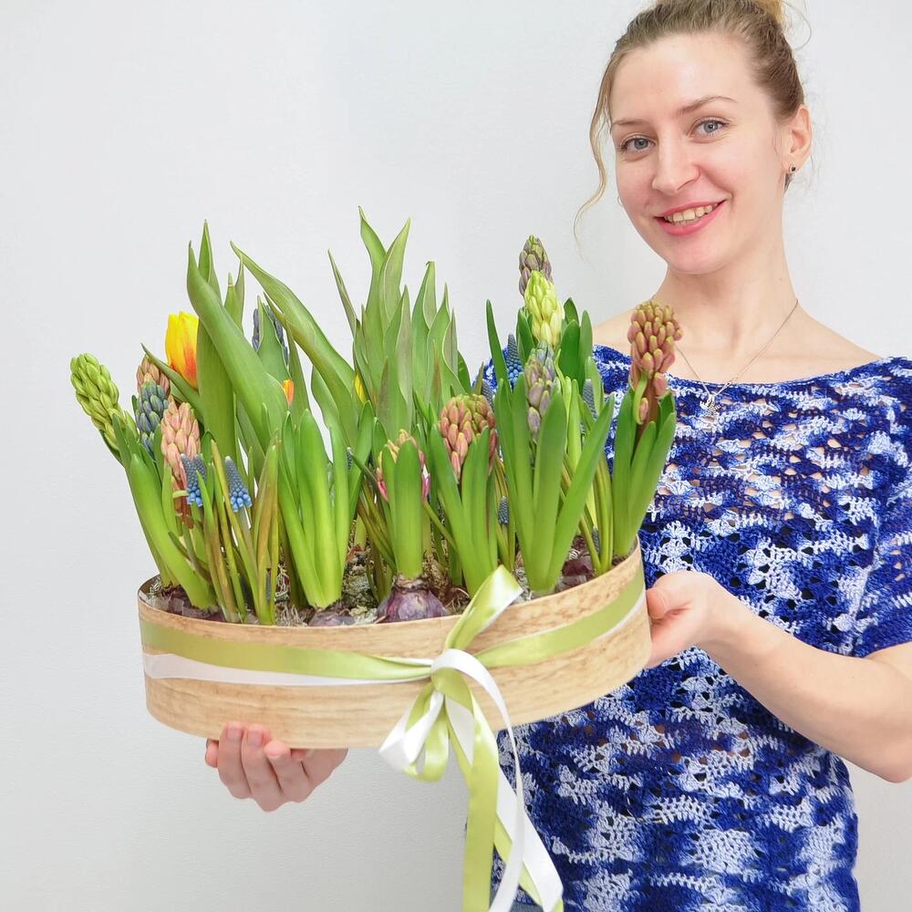 Садик с первоцветами в большом деревянном ящике: гиацинты, мускари, тюльпаны