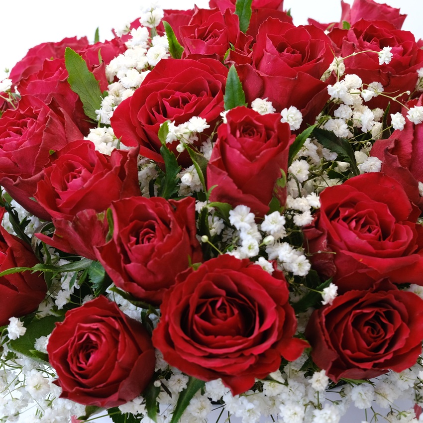 51 красная роза в коробочке с гипсофилой