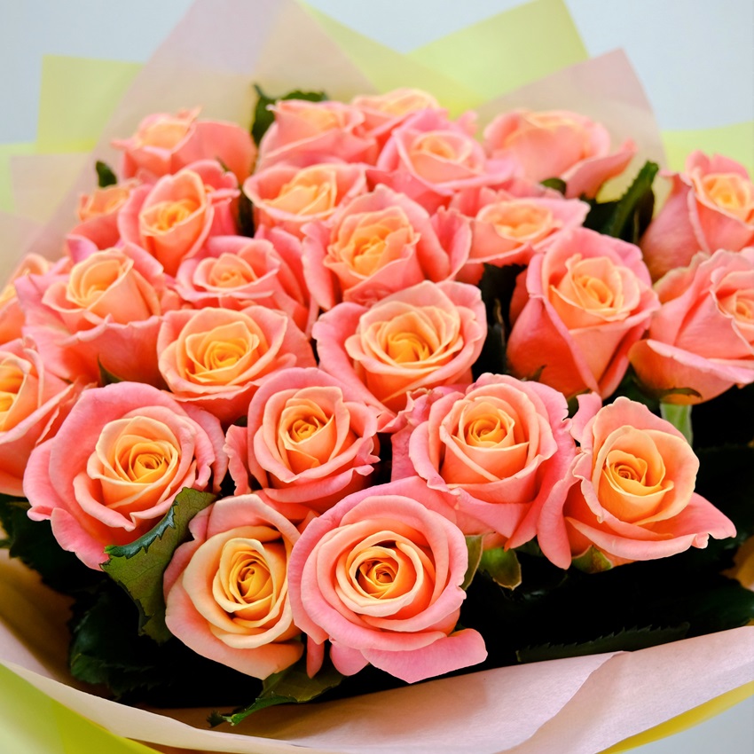 Волшебные персиковые розы 60 см, 25 штучек