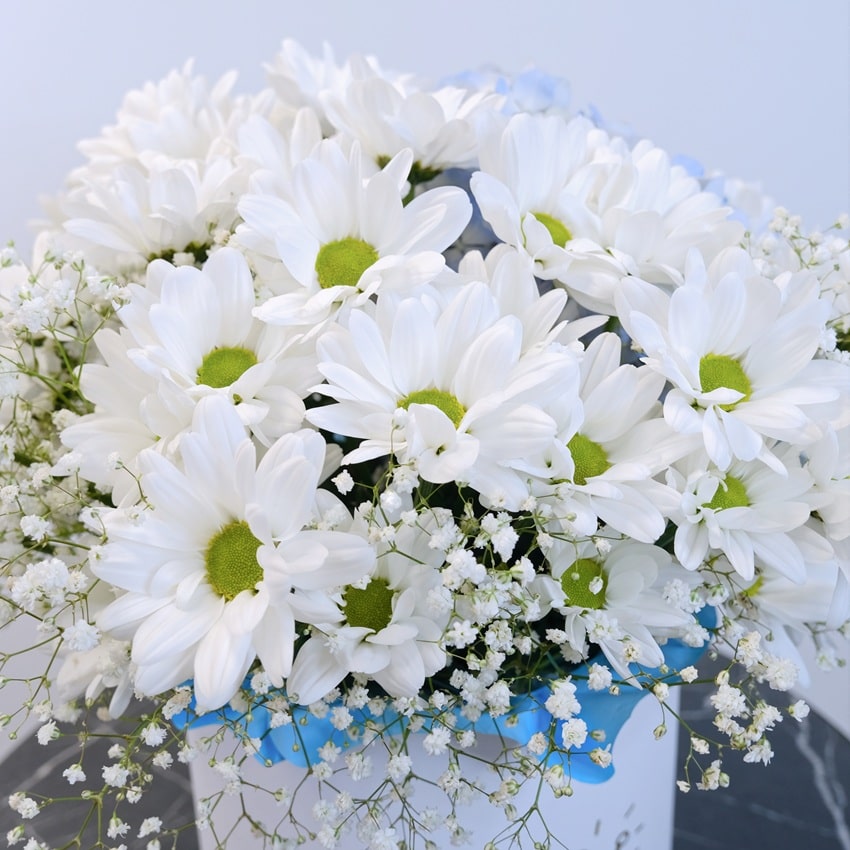 Голубая гортензия и хризантемы в коробочке "Мелодия нежности"