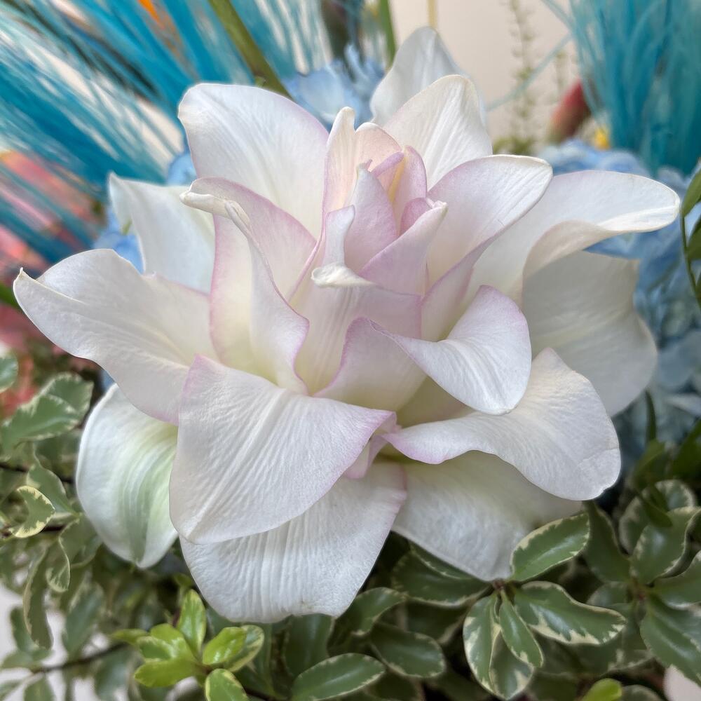 Экзотичный букет WOW! Стрелиция, гортензия, розы и пионовидная лилия. Букет гигант 80см