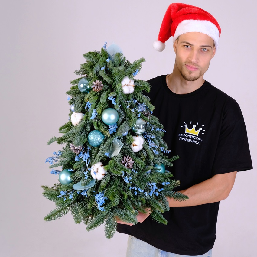 Ёлка новогодняя из датской пихты, 60 см "Frost Kiss"