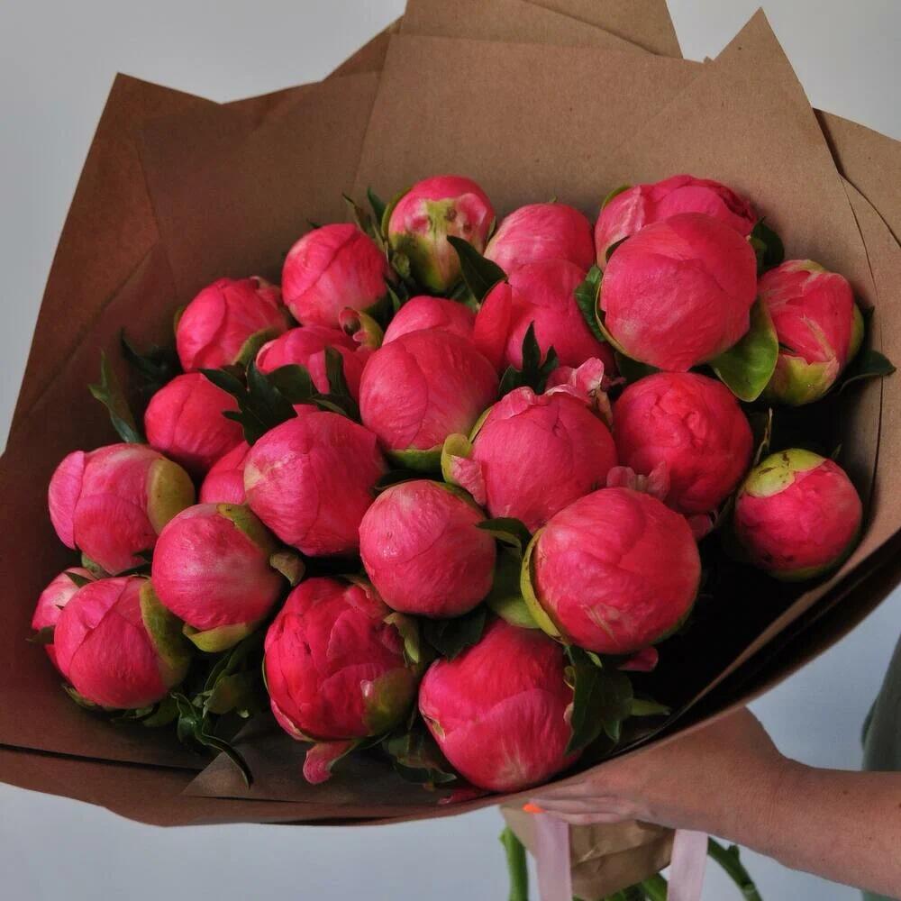 Вау! Коралловые пионы, 25 штучек