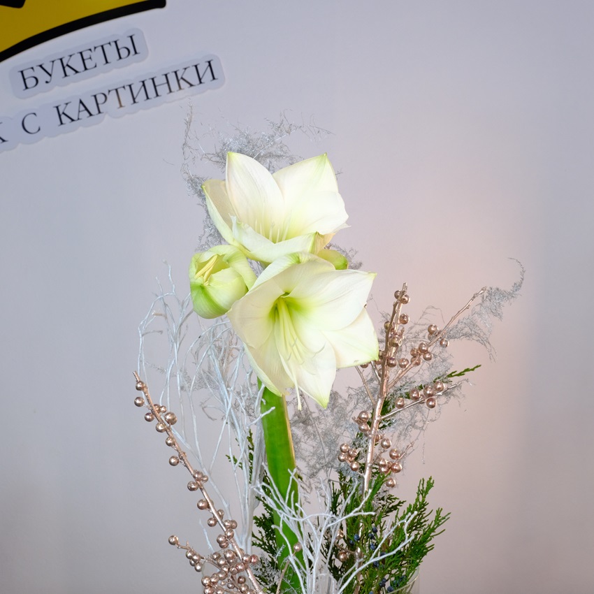 Белый амариллис в стеклянной вазе с зимним декором