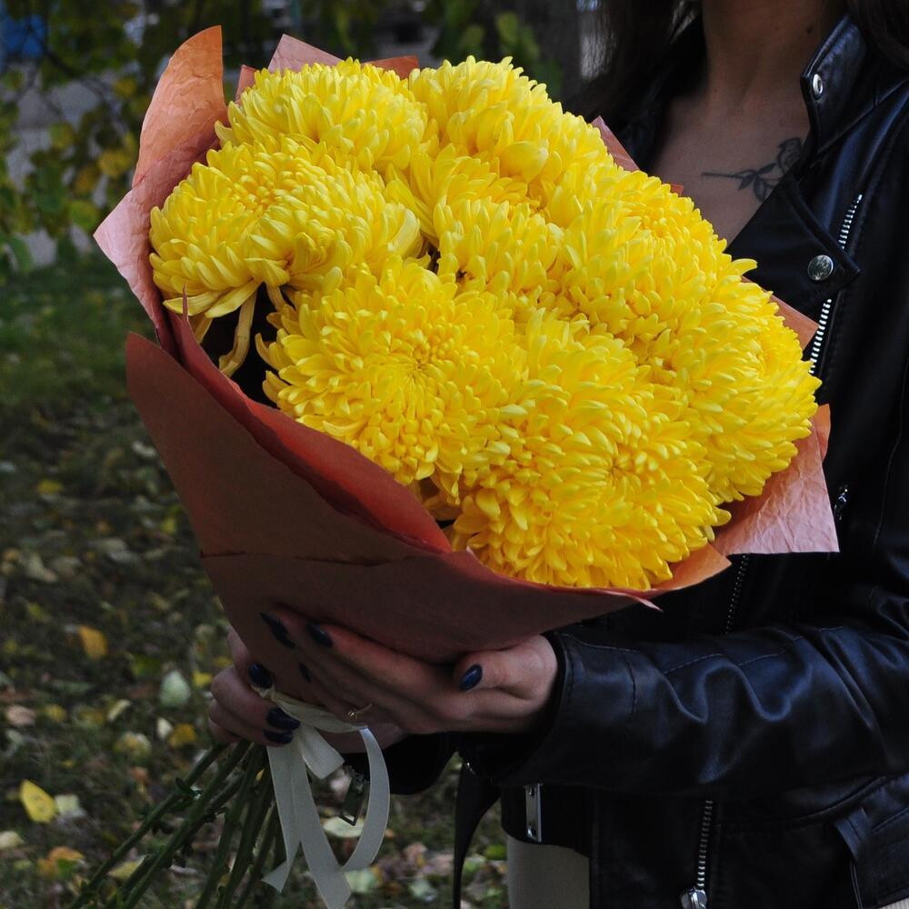 Хризантема желтая сортовая, 9 штучек