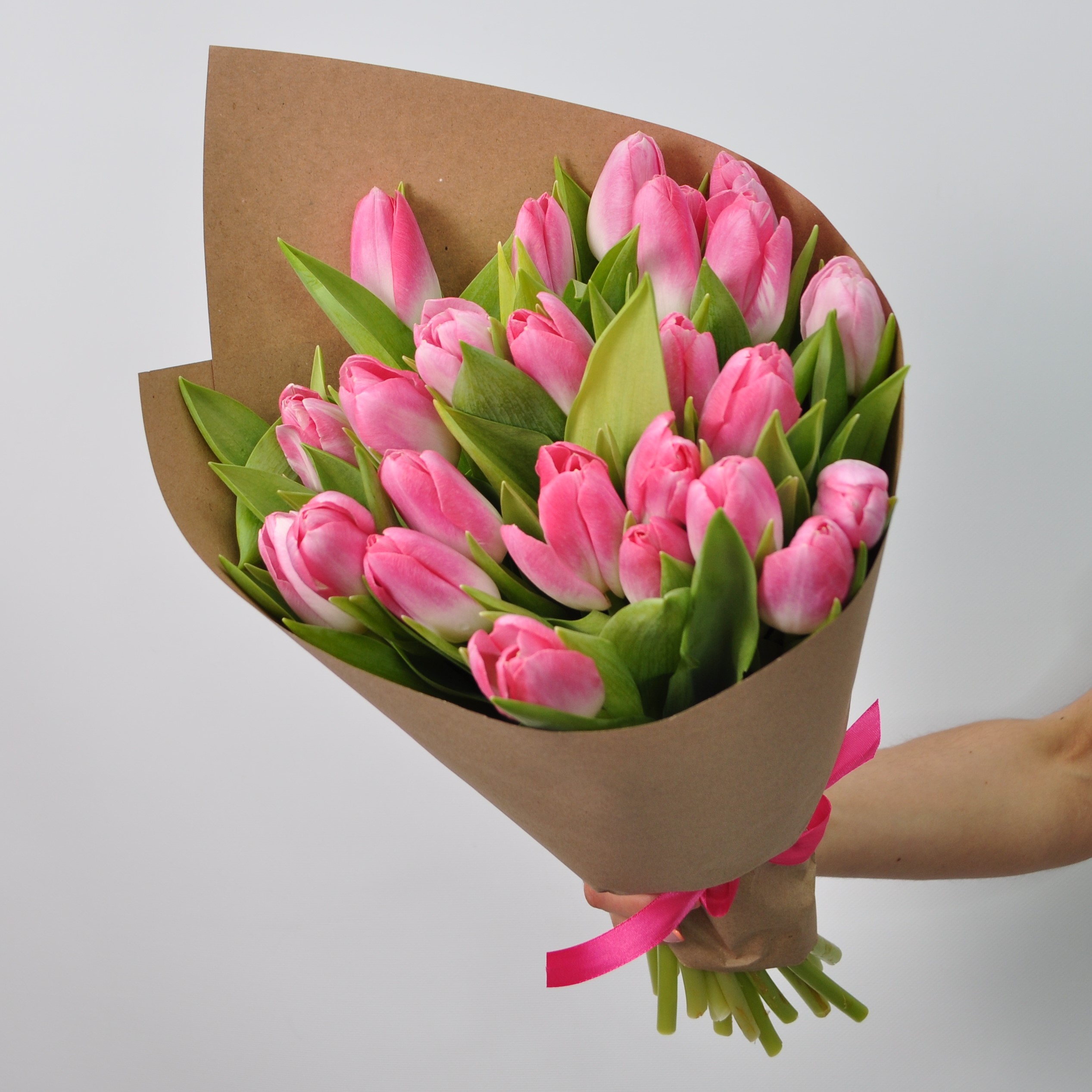 Розовые тюльпаны, 25 штучек Голландия