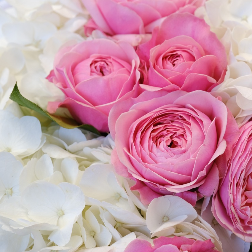 Пионовидные кустовые розы и гортензия в воздушном букете "Романтика в белом"