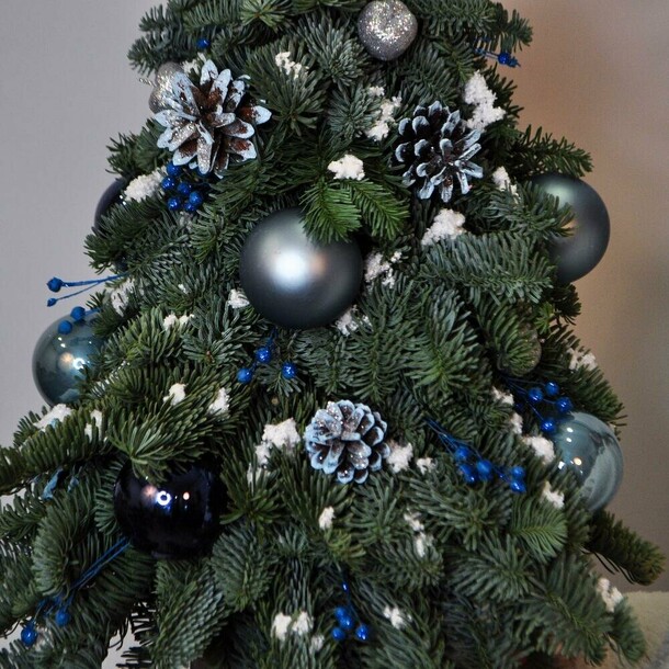 Ёлка ручной работы из живой ели «Синий иней»