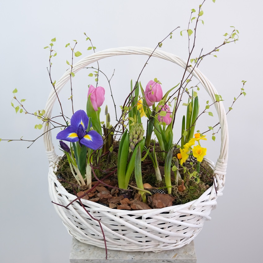 DSCF1212_м.jpg DSCF1212_м.jpg