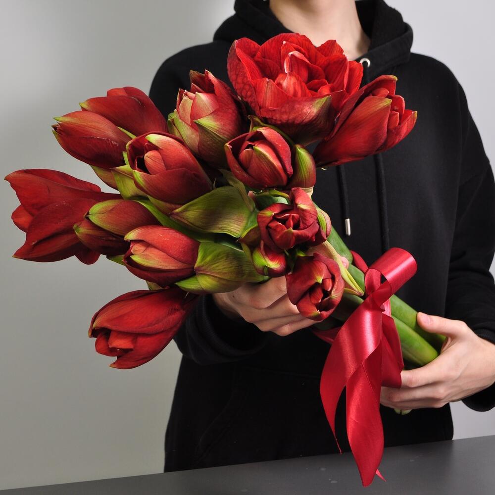 Амариллис, 7 штучек