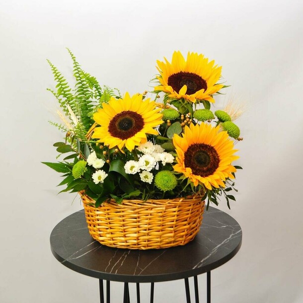 Лето в корзинке. Шикарные подсолнухи, океан зелени и нефролепис в горшочке
