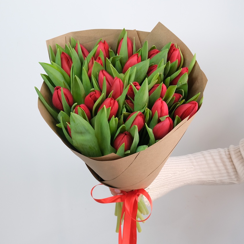 Красные тюльпаны, 25 штучек 