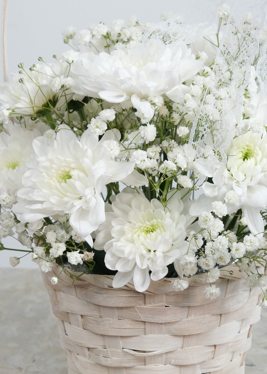 Хризантема и гипсофила в мини корзинке. Цена от 5 шт.