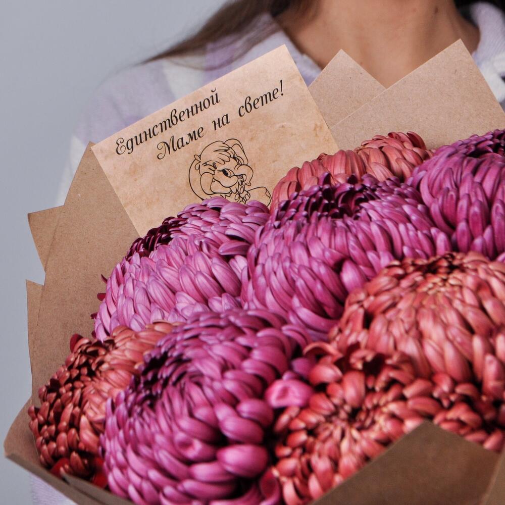 Хризантемы винного оттенка, 9 штучек «Для Мамы»