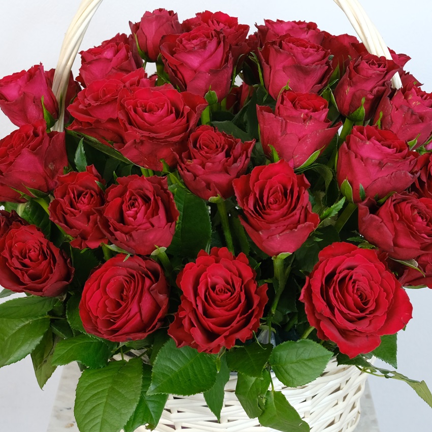 51 красная роза в корзине "Африканская страсть"