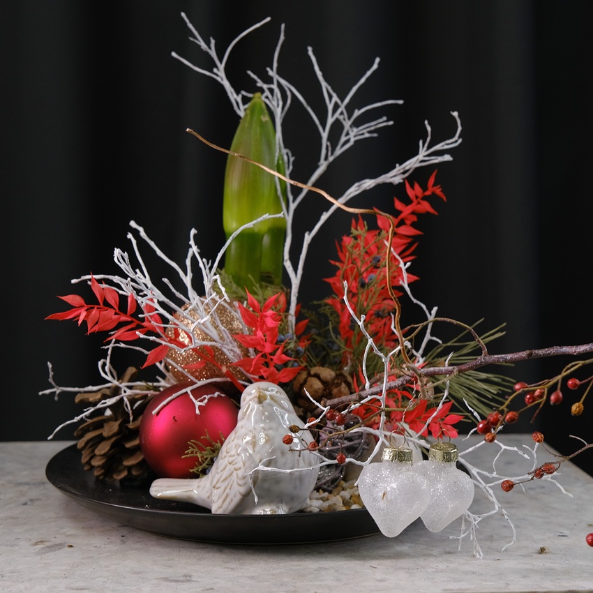 Луковица амариллиса в настольной композиции для интерьера