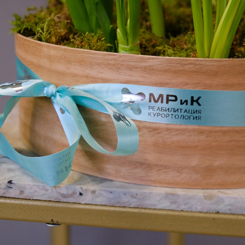 Садики с первоцветами для поздравления коллег. С вашей брендированной лентой!