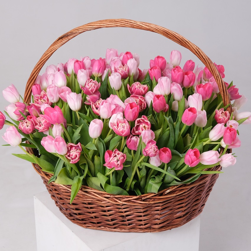Тюльпаны в корзине, 201 шт