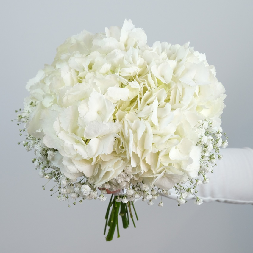 Букет невесты с белой гортензией и гипсофилой