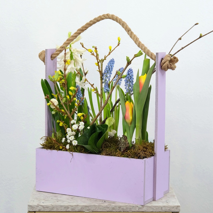 Садик с первоцветами в ящике: мускари, гиацинты и тюльпаны