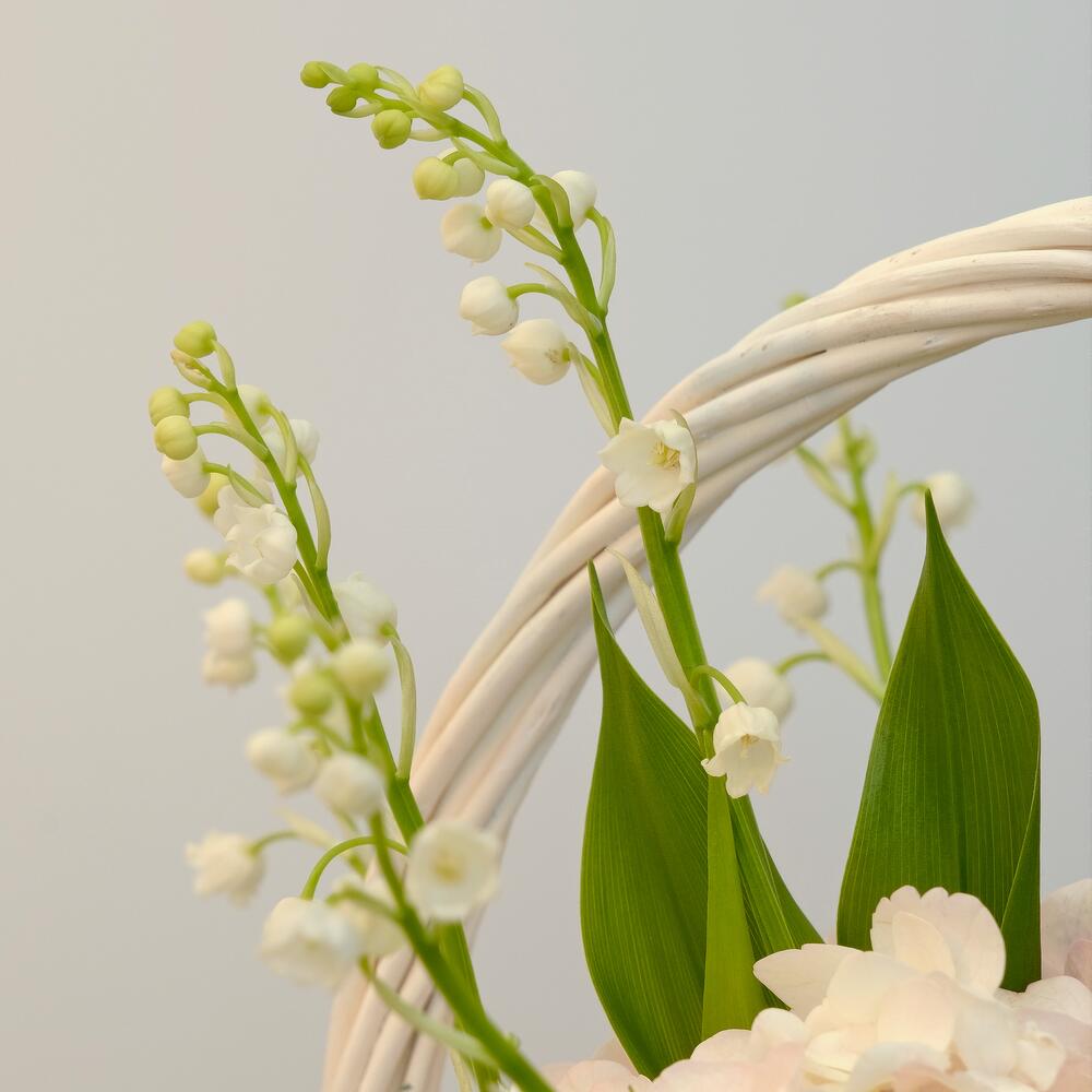 Ландыши и розовая гортензия в корзинке