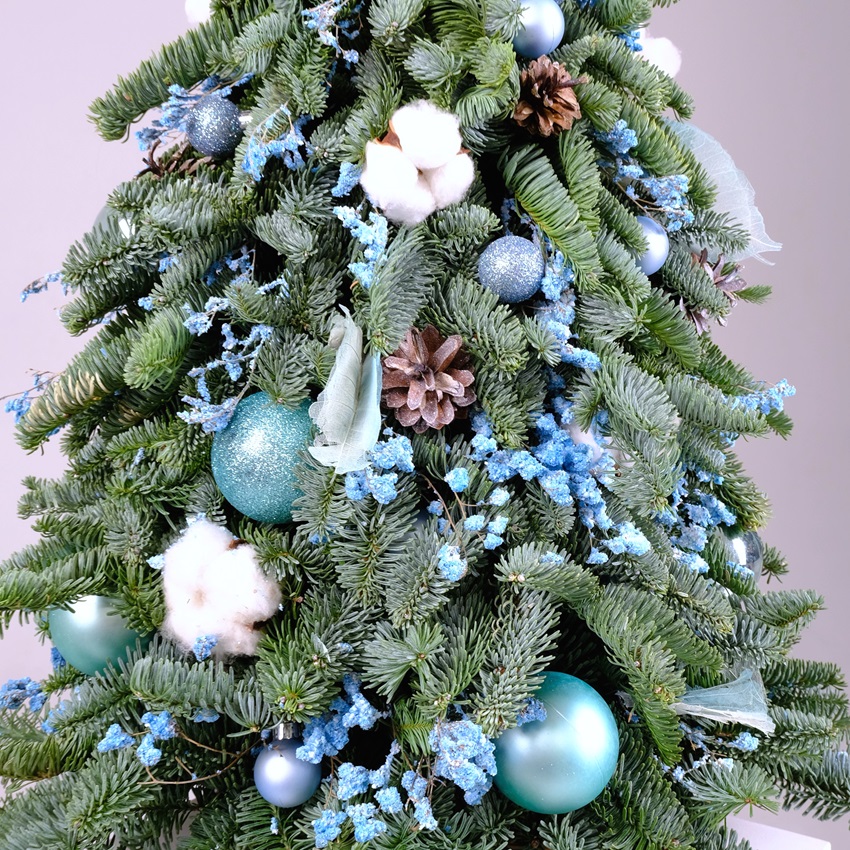 Ёлка новогодняя из датской пихты, 60 см "Frost Kiss"