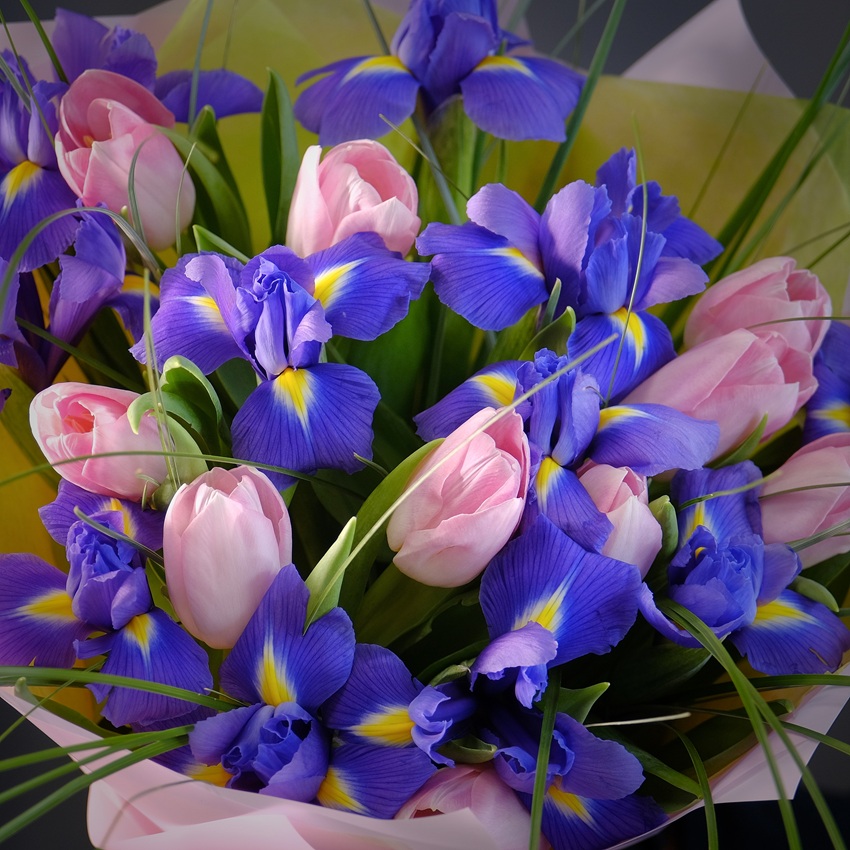 Ирисы и розовые тюльпаны в игривом букете "Шепот весны"
