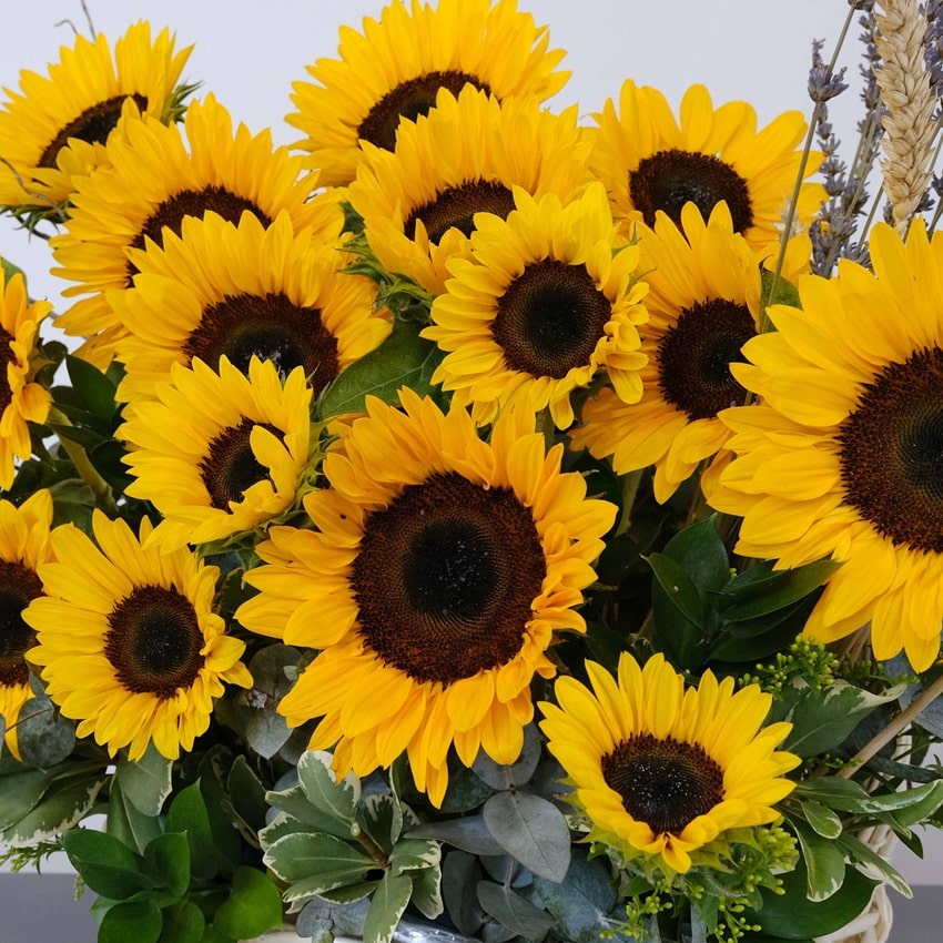 Корзина с подсолнухами, лавандой и пшеницей "Лето в сердце"