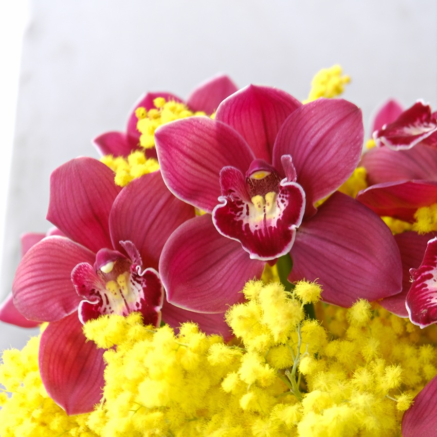 Бордовые орхидеи и ароматная мимоза в коробке "Медовая орхидея"