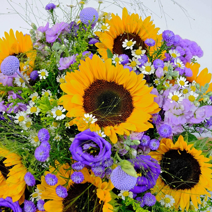 Подсолнухи, ромашки и сиреневые астры в букете "Сиреневый закат"