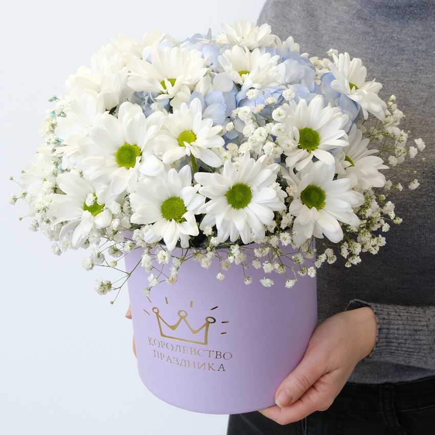 Хризантема, гипсофила и голубая гортензия в милой сиреневой коробочке