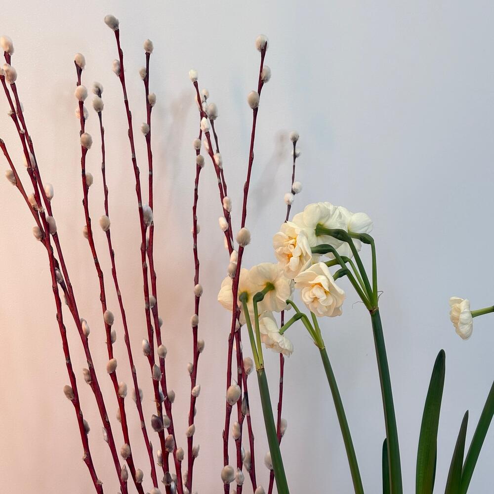 Бегония, цикламен, нарциссы, сувенир Девочка и веточки вербы в подарочной корзине на Пасху