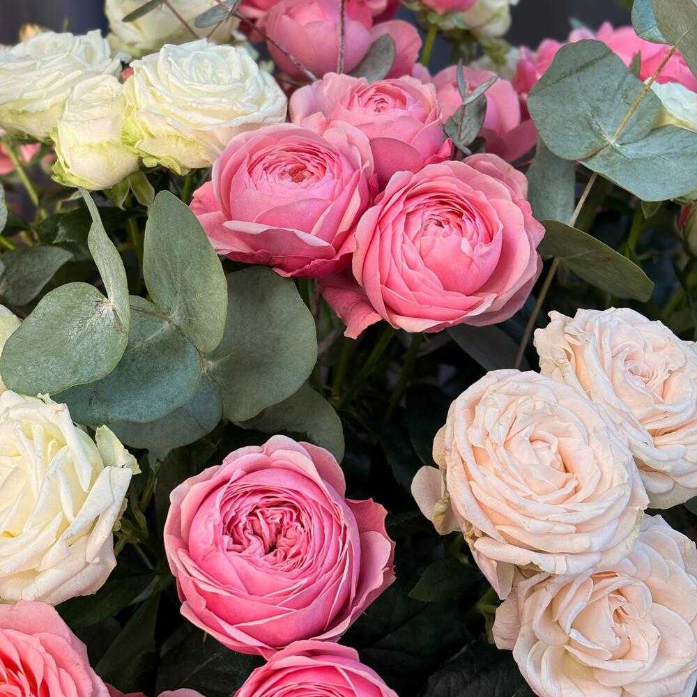 Пионовидные кустовые розы в большой коробке, 25 штучек