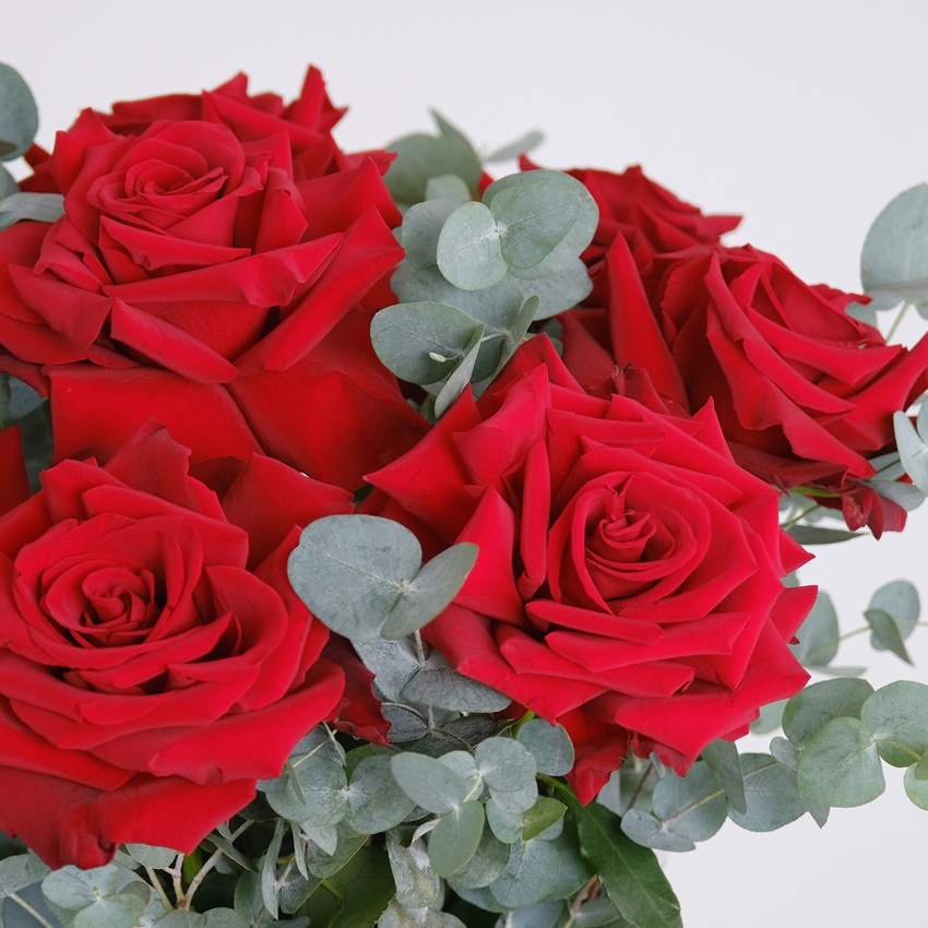 Французские розы в коробке с эвкалиптом, 9 штучек