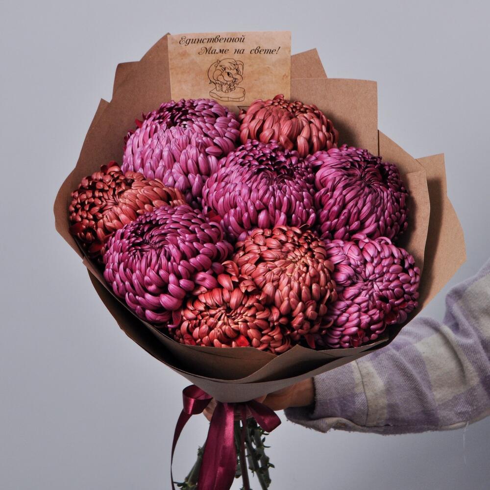 Хризантемы винного оттенка, 9 штучек «Для Мамы»