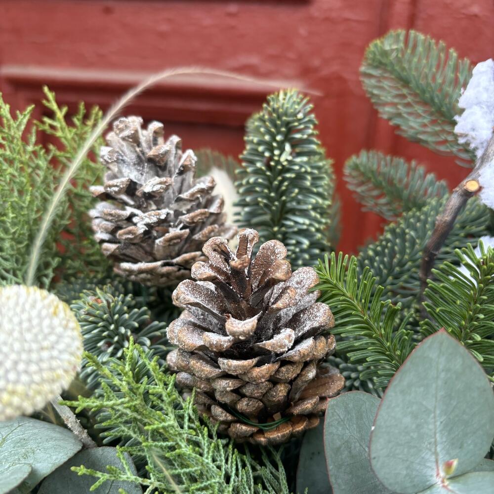 Нобилис и хлопок в интерьерной композиции «Зимняя сказка»