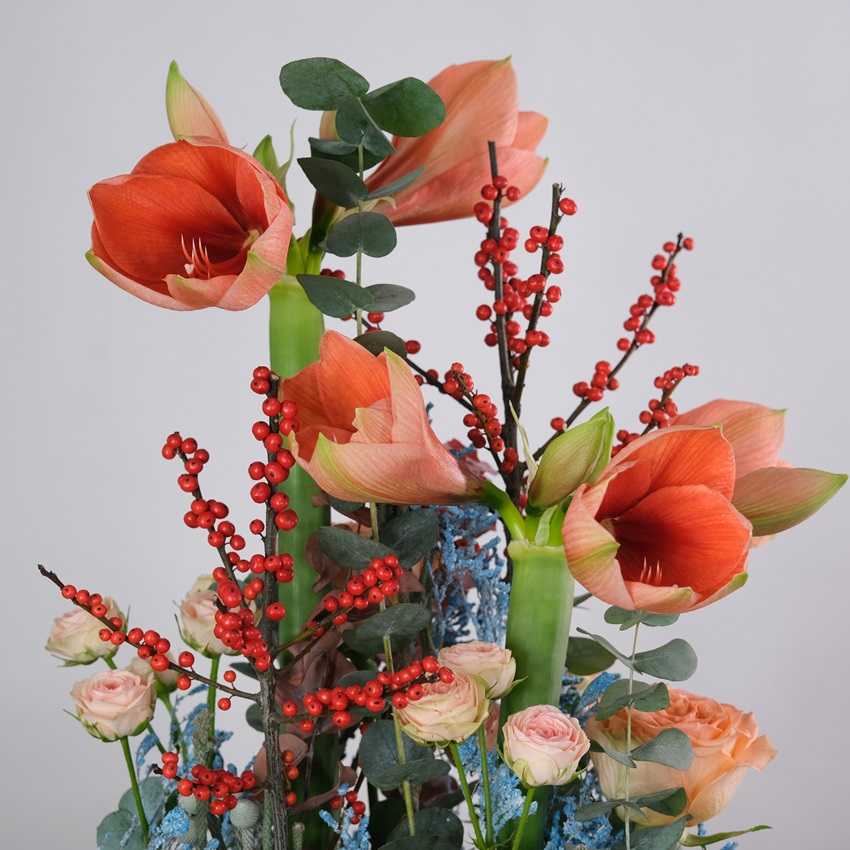 Персиковые амариллисы, илекс и розы в невероятной композиции