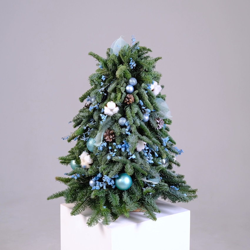 Ёлка новогодняя из датской пихты, 60 см "Frost Kiss"