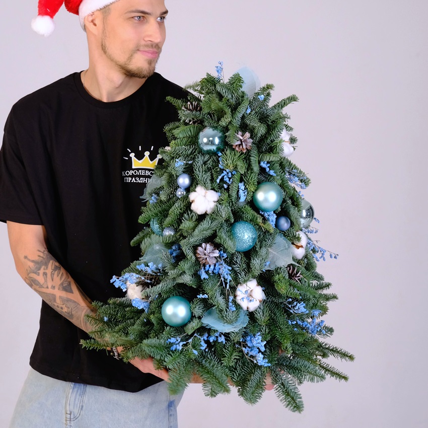 Ёлка новогодняя из датской пихты, 60 см "Frost Kiss"